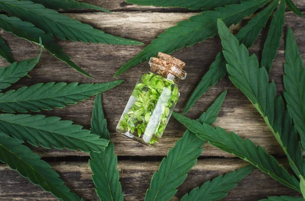 Kenevir yağı küçük şişe içinde. Bitkisel ilaç. Naturopathy.