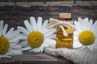 Papatya çiçek esans. Naturopathy. Bitkisel ilaç.