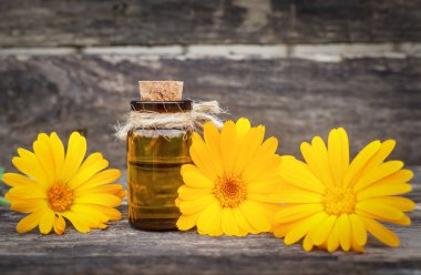 Calendula çiçek esans. Naturopathy. Bitkisel ilaç.