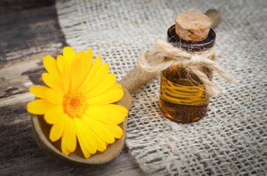 Calendula çiçek esans. Naturopathy. Bitkisel ilaç.