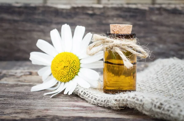 Óleo Essencial Flor Camomila Naturopatia Ervas Medicinais — Fotografia de Stock