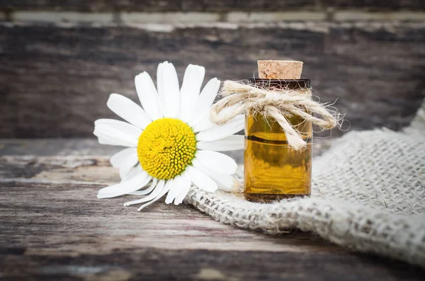 Λουλούδι Αιθέριο Έλαιο Χαμομηλιού Naturopathy Βοτανοθεραπεία — Φωτογραφία Αρχείου