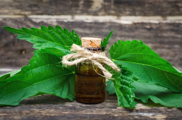 Aceite Esencial Ortiga Naturopatía Medicina Herbal —  Fotos de Stock