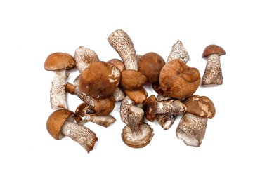 Beyaz arka plan üzerinde izole kahverengi kap çörek lessinum scabrum yığını.