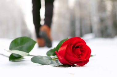 Bir kış parkta kar kaplı yolda döşeme ve walking away kadın silueti kırmızı gül çiçek. Tarih veya kırık kalp kavramı başarısız oldu.