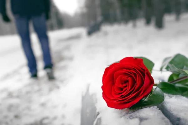 Red rose flower laying on the snow covered bench in a winter park and walking away man silhouette. Failed date or broken heart concept.