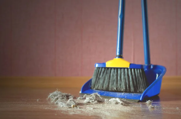 Dust on a house floor and floor brush with dustpan background. Home cleaning concept.