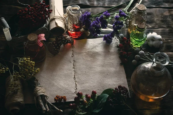 Ancient Recipe Scroll Book Copy Space Various Dry Herbs Table — Stock Photo, Image