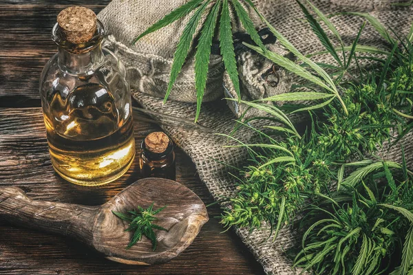 Ahşap bir arka planda CBD yağ şişeleri ve yeşil kenevir bitkisi. Bitkisel ilaçlar.