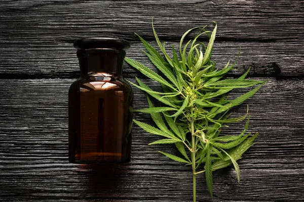 Cannabis essential oil in the bottle and a green stem with leaves on a black wooden table background.