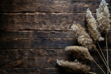 Kahverengi tahta bir tahta üzerinde kurumuş yayın kuyruğu dalları fotokopi alanı ile yatıyordu.. 