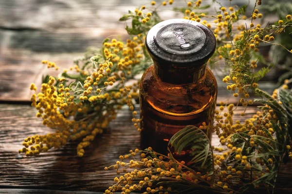 Botella Aceite Esencial Flor Mimosa Sobre Fondo Tablero Madera Medicina —  Fotos de Stock