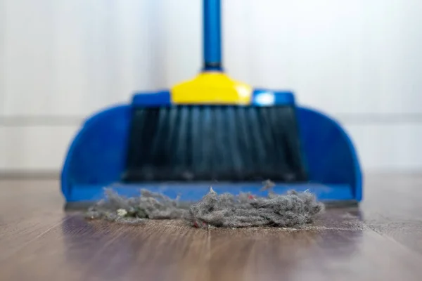 Sweeping brush and a dust on a floor.