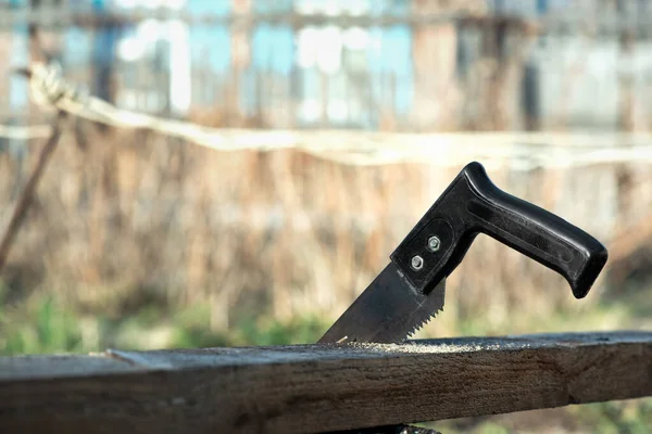 Handsaw and wooden board on the backyard background.