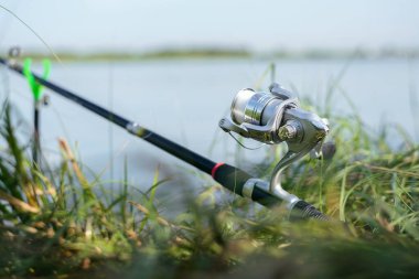 Gölde olta kamışı. Yaklaş..