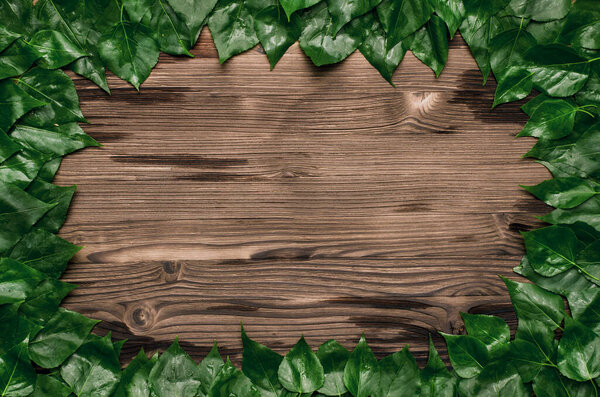 Green leaves around a wooden background with copy space. Summer nature board design.