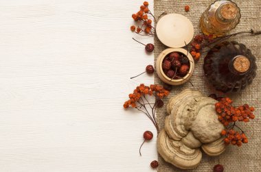 Bitkisel ilaçlar. Alternatif tıp konsepti. Kuru organik bileşenler. Tedavi edici mantar ve şişedeki tentür ahşap arka planda fotokopi alanı ile birlikte..