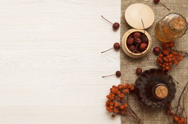 Bitkisel ilaçlar. Alternatif tıp konsepti. Kuru organik bileşenler. Fotokopi alanı olan beyaz arka planda yabanmersini ve tıbbi tentürler.