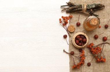 Bitkisel ilaçlar. Alternatif tıp konsepti. Kuru organik bileşenler. Fotokopi alanı olan beyaz arka planda yabanmersini ve tıbbi tentürler.