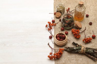 Bitkisel ilaçlar. Alternatif tıp konsepti. Kuru organik bileşenler. Fotokopi alanı olan beyaz arka planda yabanmersini ve tıbbi tentürler.