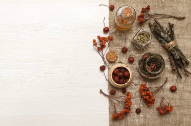 Bitkisel ilaçlar. Alternatif tıp konsepti. Kuru organik bileşenler. Fotokopi alanı olan beyaz arka planda yabanmersini ve tıbbi tentürler.