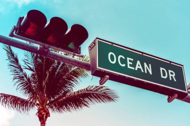 Arka planda palmiye ağaçları olan Ocean Drive sokak tabelası, Miami Beach, Florida