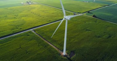 Yeşil mısır tarlasında tek bir rüzgar türbininin havadan yüksek açılı görüntüsü. Yavaş çekim, gün batımı ışığı 