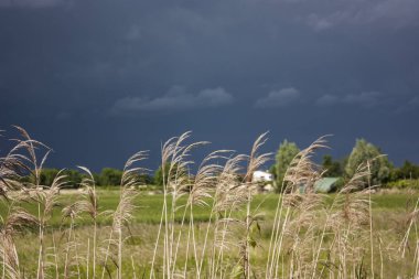 Güçlü bir fırtınanın gelişi sırasında İtalya kırsalının manzarası, çok karanlık bir gökyüzü ve çevresindeki doğayla yüksek bir zıtlık.