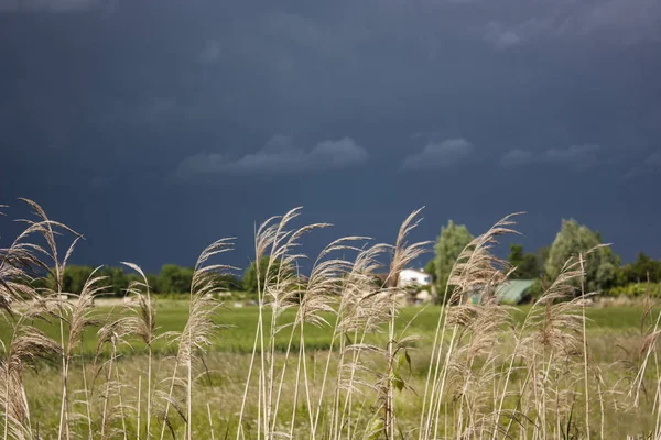 一场强烈的风暴来袭时 意大利乡村的风景 天空一片漆黑 与周围的自然形成强烈反差 — 图库照片