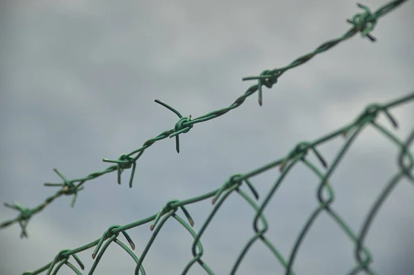 Detail Aus Maschendraht Und Stacheldraht Mit Makroaufnahme Und Hintergrund Das — Stockfoto