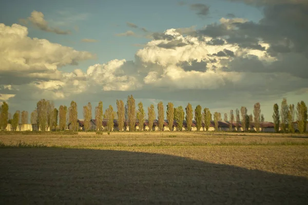 Country Landscape Resold Ground Level You Can See Remains Newly — Stock Photo, Image