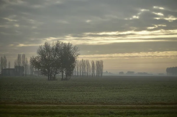 Rural Landscape Northern Italy Full Autumn Sunset Fog Making Mystical — Stock Photo, Image