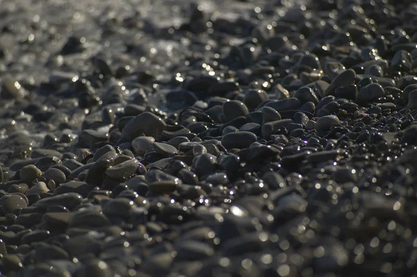 Ein Kleines Detail Der Kieselsteine Einem Strand Der Von Den — Stockfoto