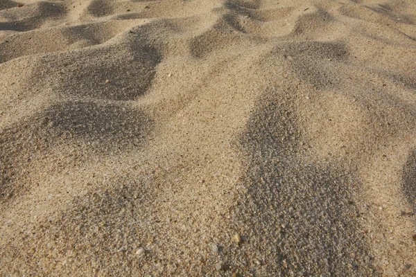 黄光拍摄中的沙丁鱼海滩沙质 — 图库照片