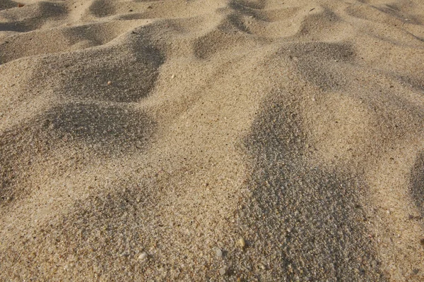 Kum Doku Sardunya Beach Makro Çekim — Stok fotoğraf