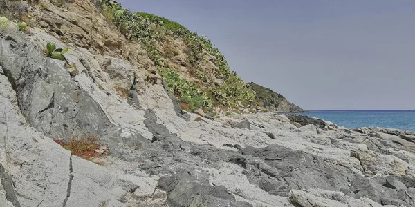 Вид Скалы Видом Море Покрытые Кактусами Которые Растут Спонтанно Середине — стоковое фото