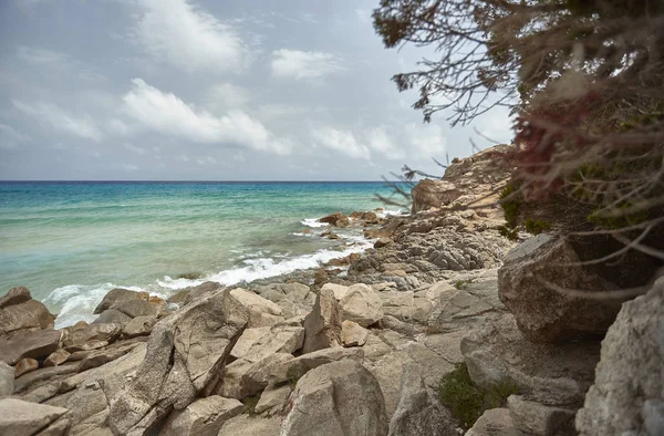 View Filtered Plants Cliff Overlooking Mediterranean Sea Sardinia Italy — Stock Photo, Image