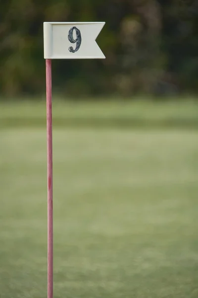 Drapeau Avec Numéro Utilisé Dans Sport Golf Pour Marquer Trou — Photo