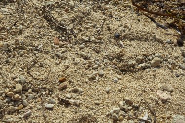 Çakıl taşları ve sarı kum içeren çok yüksek çözünürlüklü yapı İtalya 'daki Güney Sardunya' ya özgü..