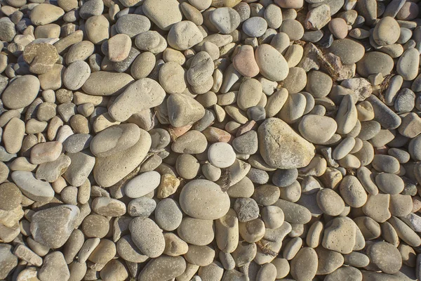Textura Pedras Brancas Típicas Praias Alcne Sul Sardenha Resolução Muito — Fotografia de Stock