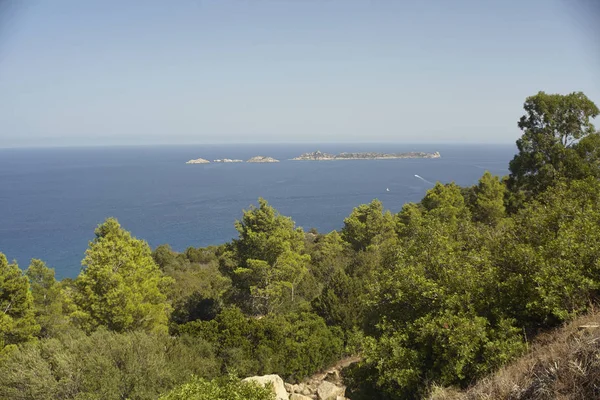 Seascape Southern Coast Sardinia Foreground Typical Vegetation Covers Natural Territory — Stock Photo, Image