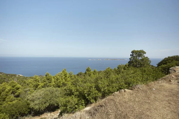 Przylądek Morski Południowego Wybrzeża Sardynii Pierwszym Planie Typową Roślinnością Pokrywającą — Zdjęcie stockowe