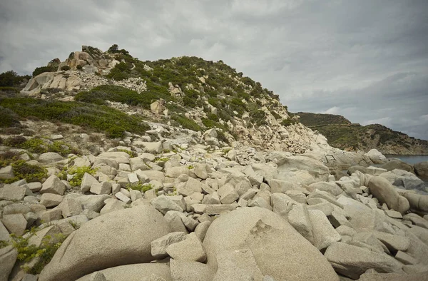Вид Скалу Южном Побережье Сардинии Покрытый Типичной Растительностью — стоковое фото