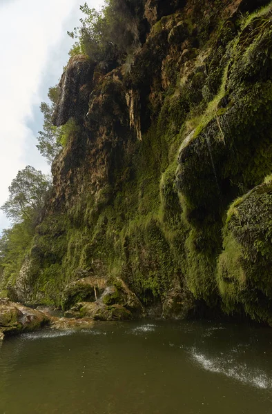 Widok Dołu Naturalne Naciekowa Stiddiosa Skaliste Ściany Pokryte Roślinności Umożliwia — Zdjęcie stockowe