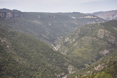 Tamamen doğal bir yerde dar bir vadi oluşturan yeşil çam ağaçlarıyla kaplı bazı dağ duvarlarının detayları..