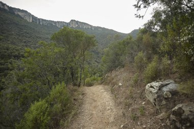 Dağcıların dağın yüksekliğindeki farkın üstesinden gelerek vadiye ulaşmalarını sağlayan küçük dağ yolu..