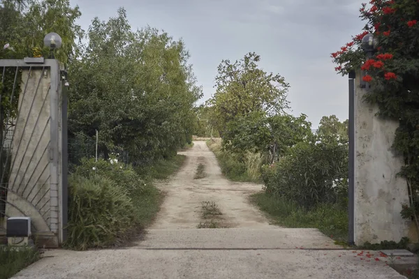 南サルデーニャの典型的な田園風景の中に木や植物が並ぶ未舗装の道路を見ることができます — ストック写真