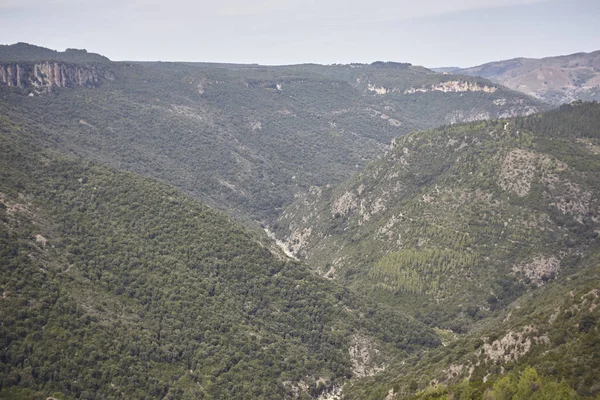 Detalle Algunas Paredes Montañas Cubiertas Pinos Verdes Que Encuentran Formando —  Fotos de Stock