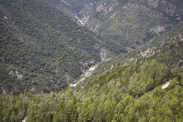 Λεπτομέρεια Μερικών Τοίχων Βουνών Καλυμμένων Πράσινα Πεύκα Που Συναντιούνται Σχηματίζοντας — Φωτογραφία Αρχείου