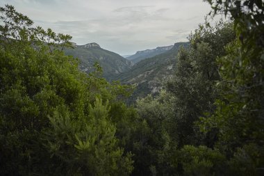 Bazı dağların ağaç ve bitki örtüsüyle filtrelenmiş görüntüsü: Sardunya iç kesiminin tipik görüntüsü.